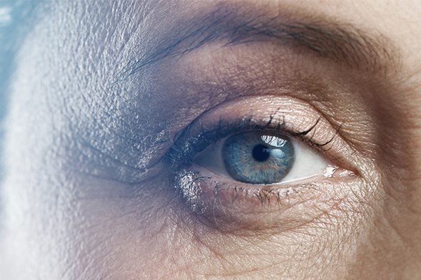 The Angiopoietin/Tie Pathway in Retinal Vascular Diseases