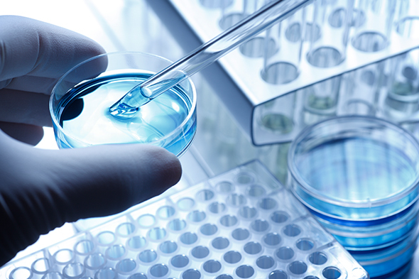 Updates on Phosphoinositide 3-Kinase Inhibitors in Chronic Lymphocytic Leukemia