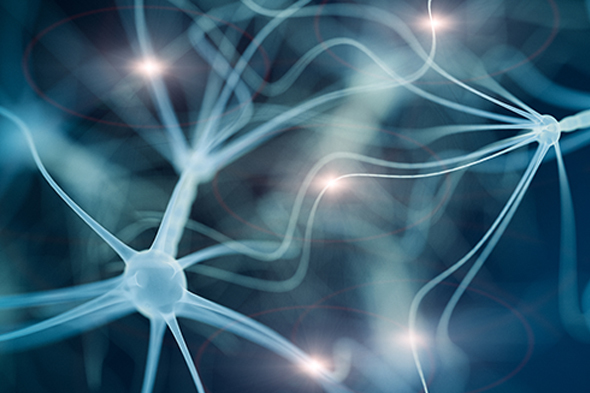 Transcranial Magnetic Stimulation: Theoretical Basis and Evidence