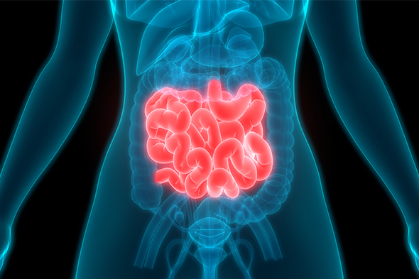 Somatostatin Analogues: Optimizing the Use of Long-Acting Repeatable Depot and Immediate-Release Formulations