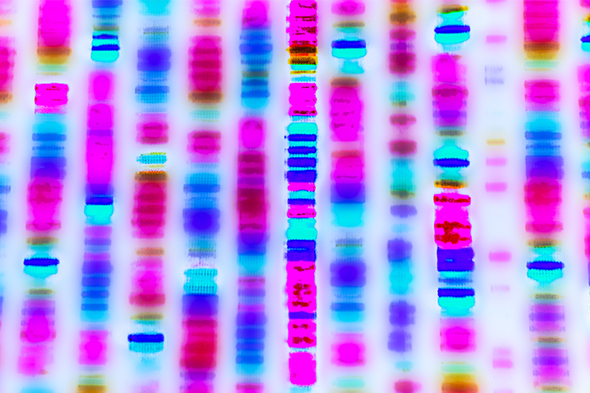 Present Capabilities and Future Directions of Molecular Profiling in Chronic Lymphocytic Leukemia