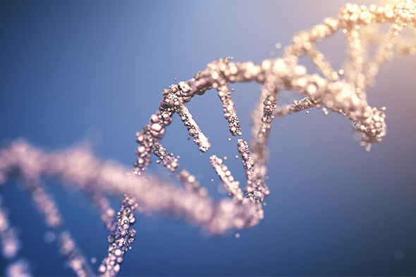 The Future of Chronic Lymphocytic Leukemia Management