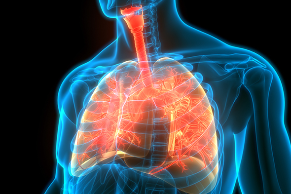 Fibrotic Lung Disease: Factors Associated With Progression