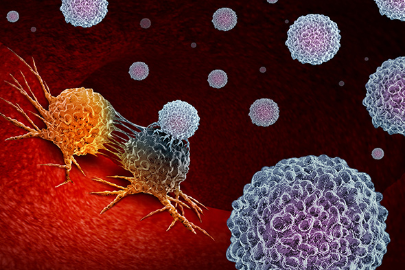 Expert Perspectives in Chronic Graft-versus-Host Disease to Cover Key Topics in Chronic Graft-versus-Host Disease Treatment