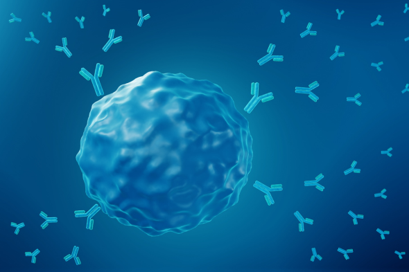 The Pathogenesis of IgA Nephropathy and Insights Into B-Cell Modulation